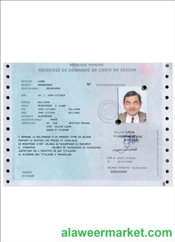 French residence permit (carte de sejour)